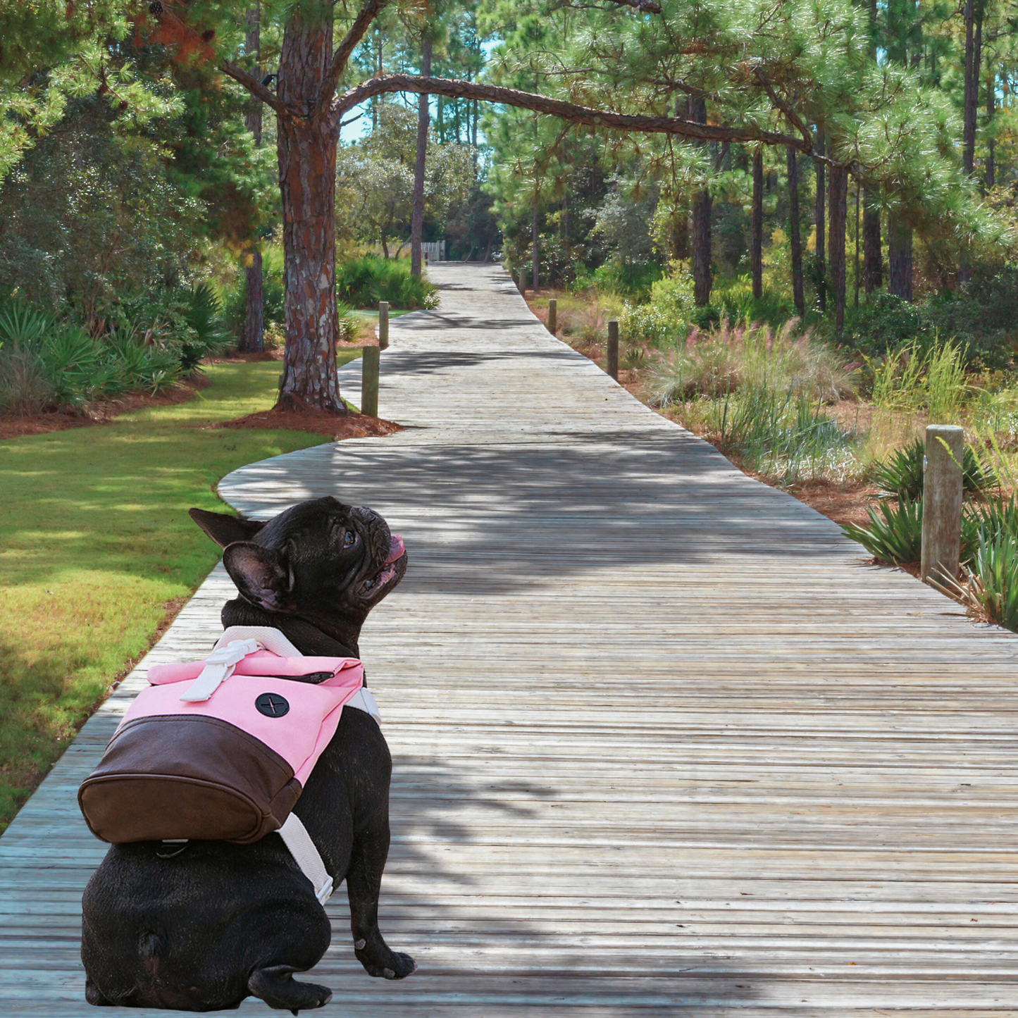 Pink Honey Backpack Harness