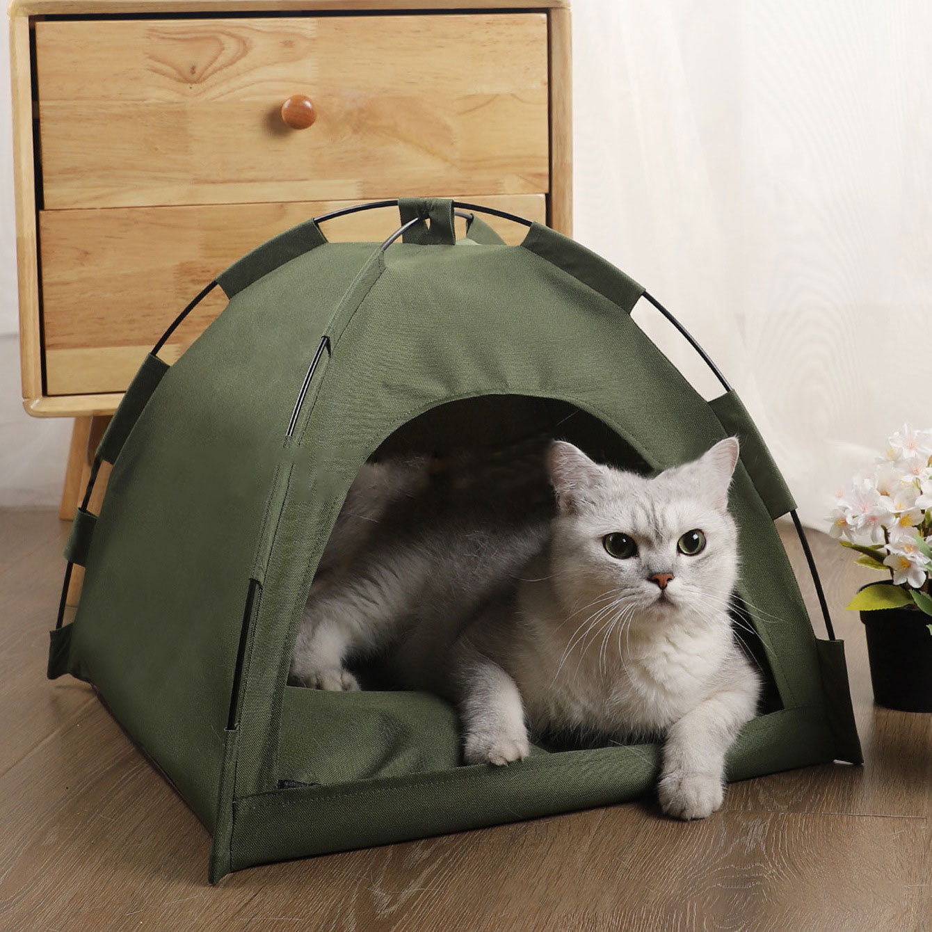 Pink Cat Tent